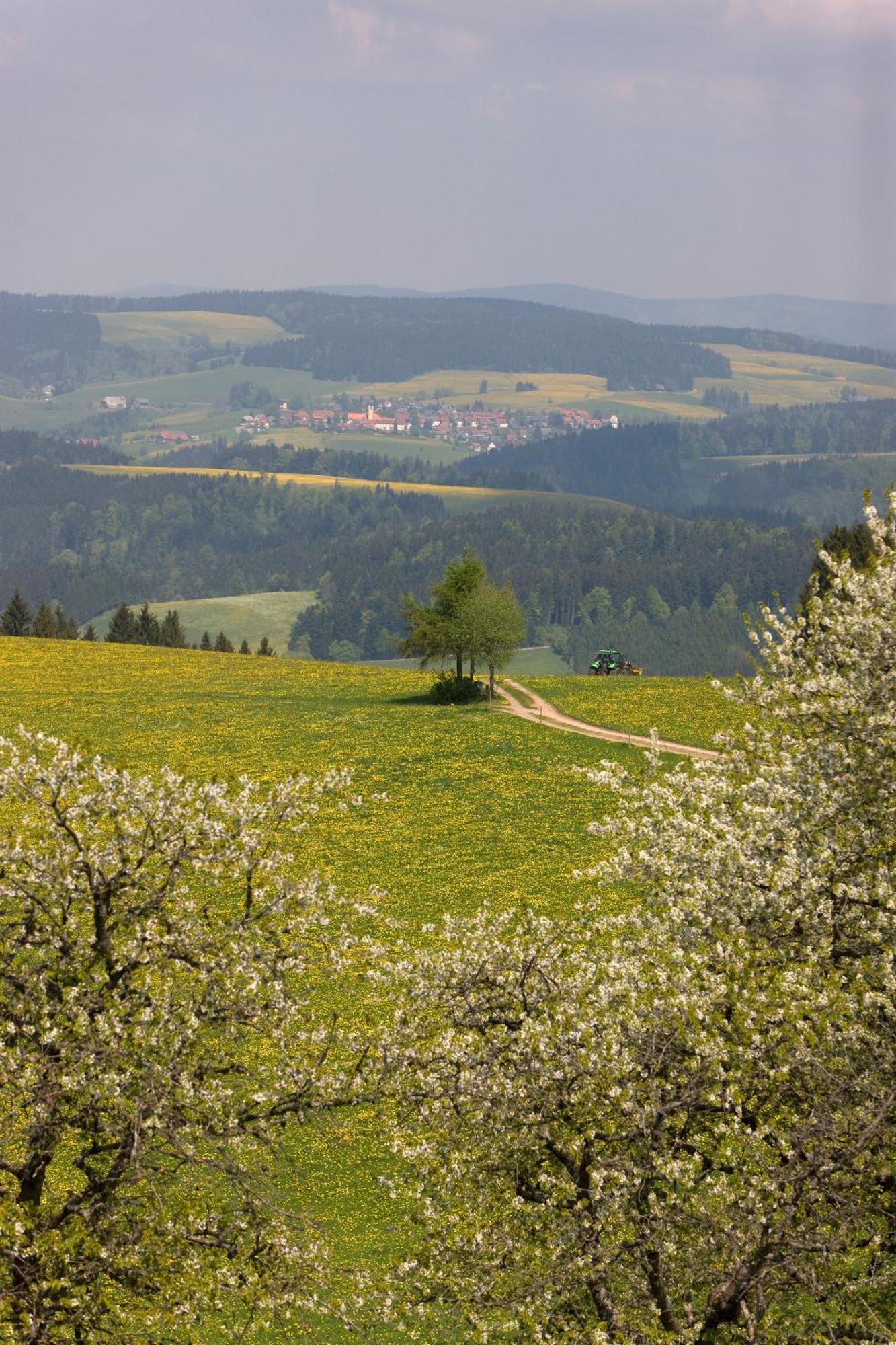 Drei Tannen - Wohnung 07 - Apartmenthaus, Titisee, Feldberg Экстерьер фото